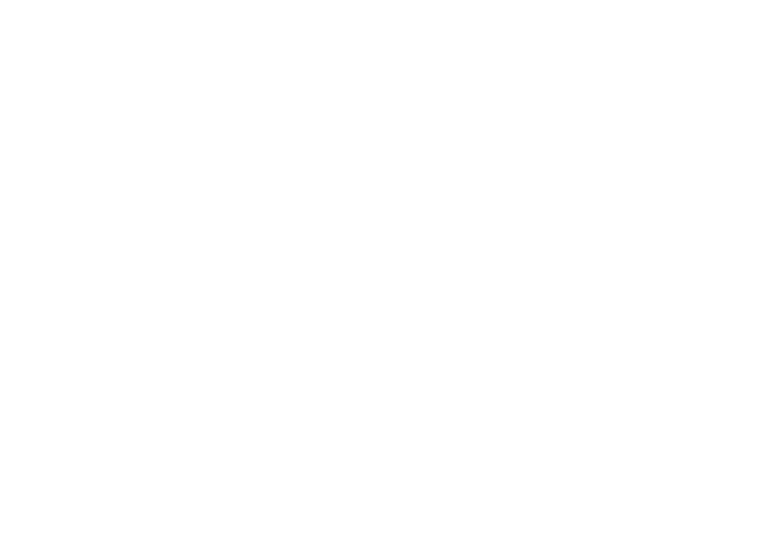 Phaseplanners logo white